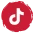 Ícone TikTok @sigaanacarolina